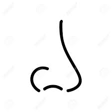 nose