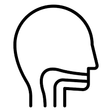 throat
